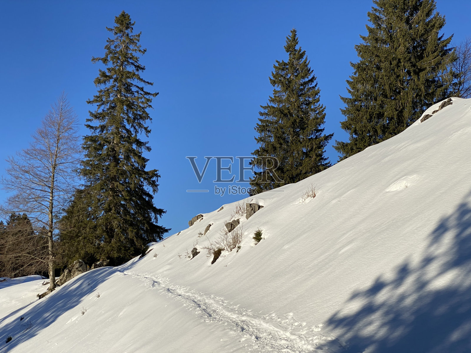 Wonderful winter hiking trails and traces on the fresh alpine snow cover of the Swiss Alps, Schwägalp (or Schwaegalp) mountain pass - Canton of Appenzell Ausserrhoden, Switzerland (Schweiz)照片摄影图片