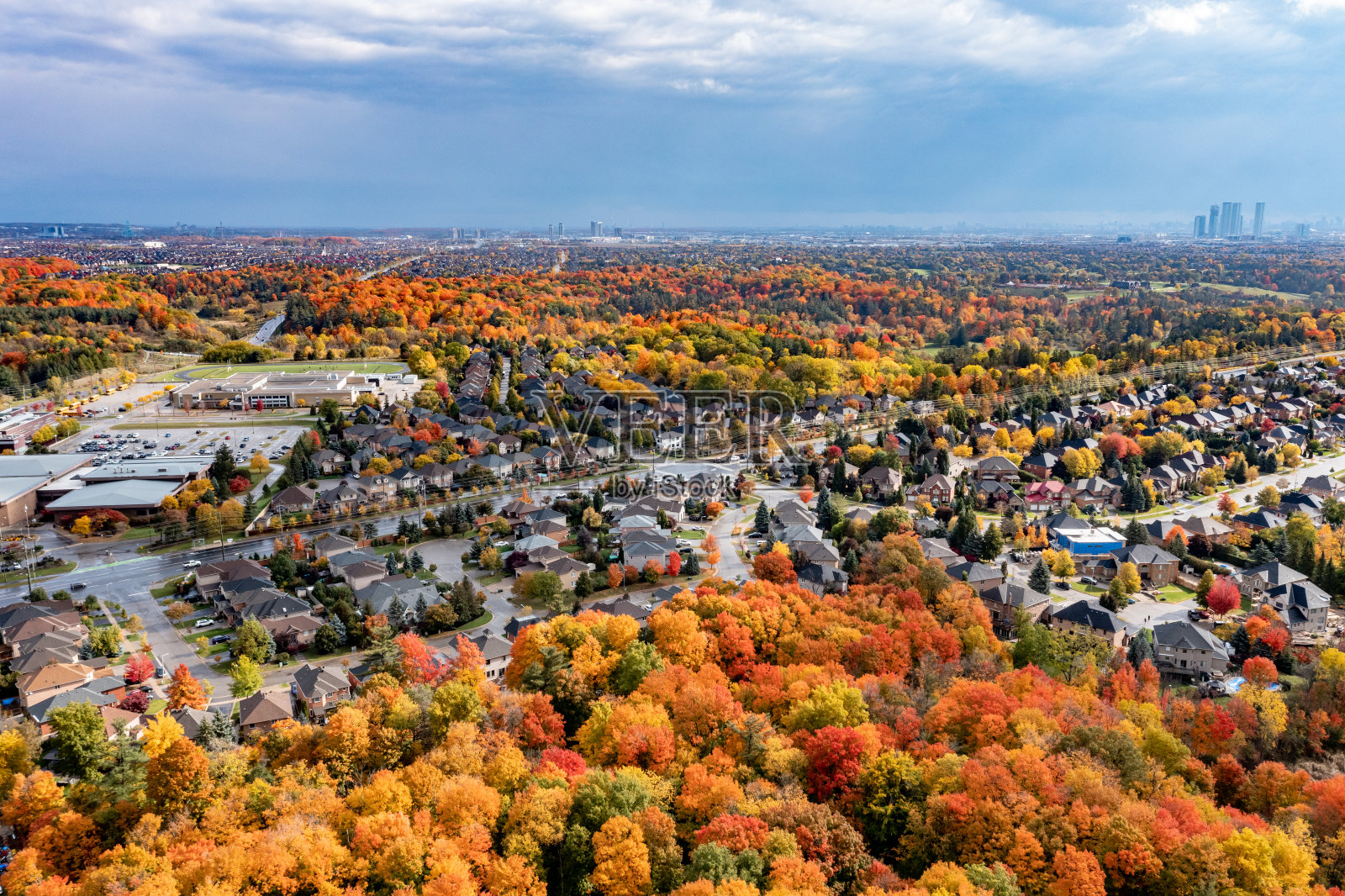 多色树叶在邻里博伊德公园和伊斯灵顿大街,伍德布里奇,加拿大照片摄影图片