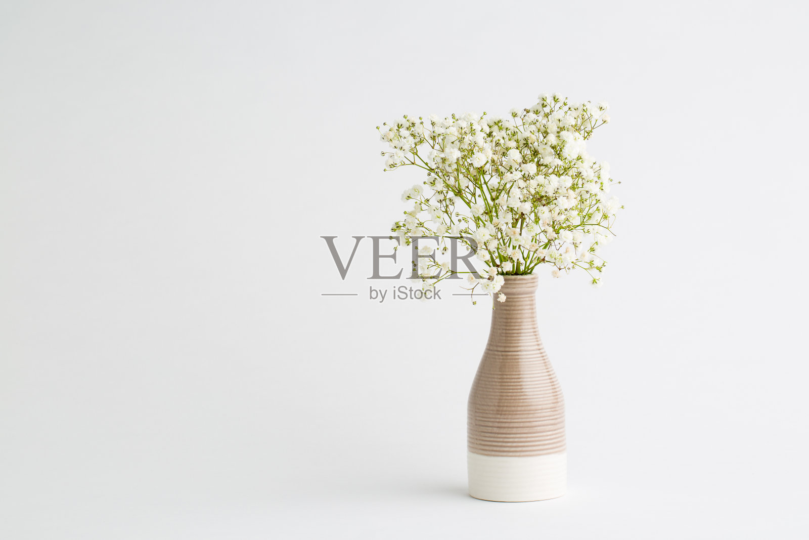 白色背景上的白色小花。柔软的家居装饰。花瓶里插着白花。照片摄影图片