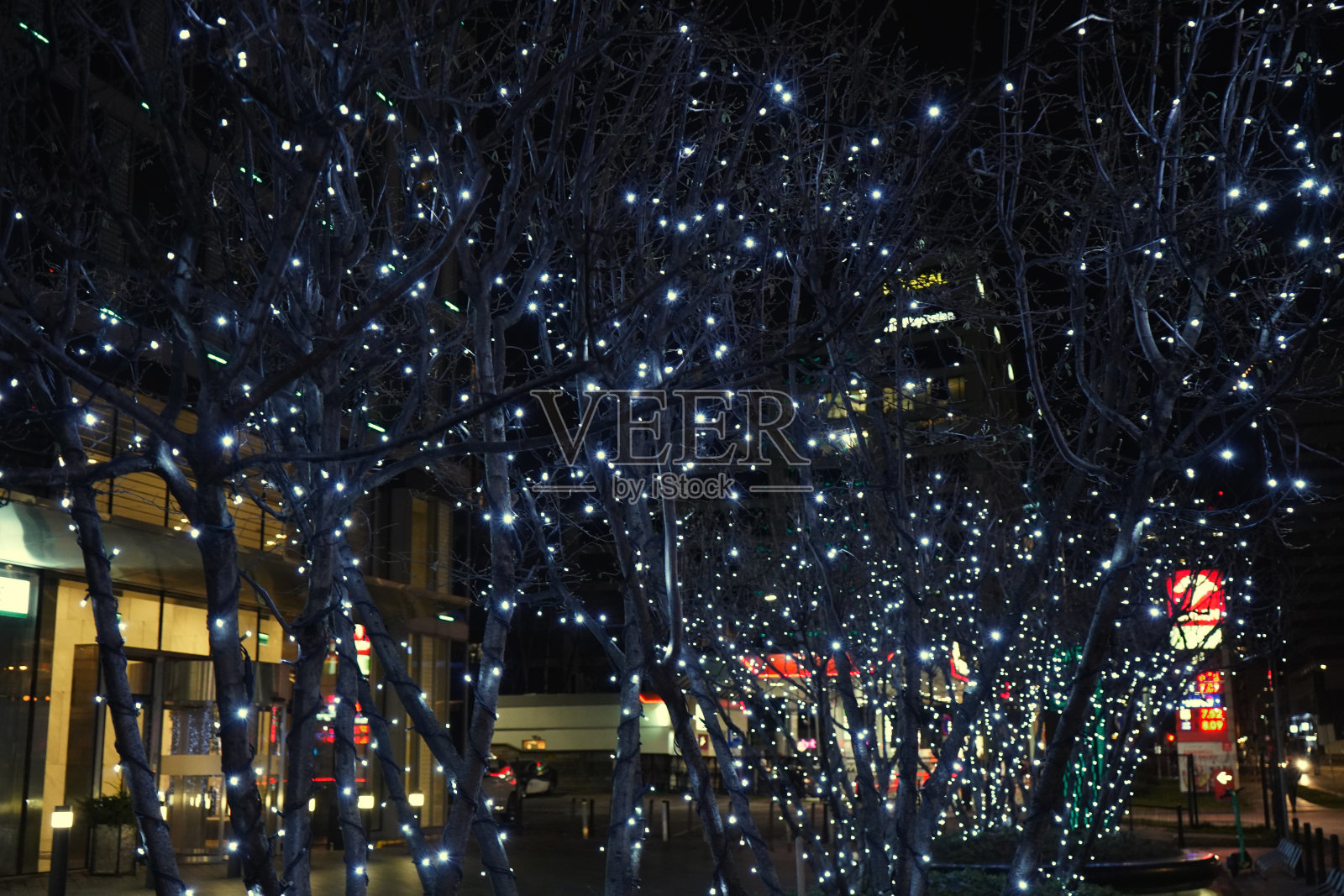 波兰华沙- 2022年12月:树木照明。新年假期的装饰照片摄影图片