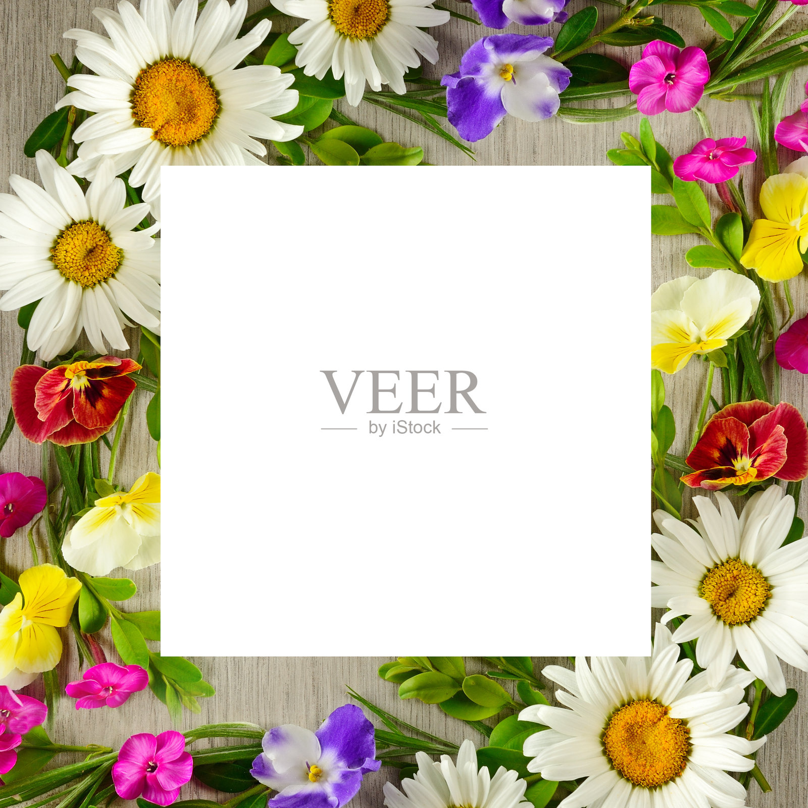 花卉图案的雏菊,夹竹桃和紫罗兰。拼贴画。框架与空白的文本。照片摄影图片