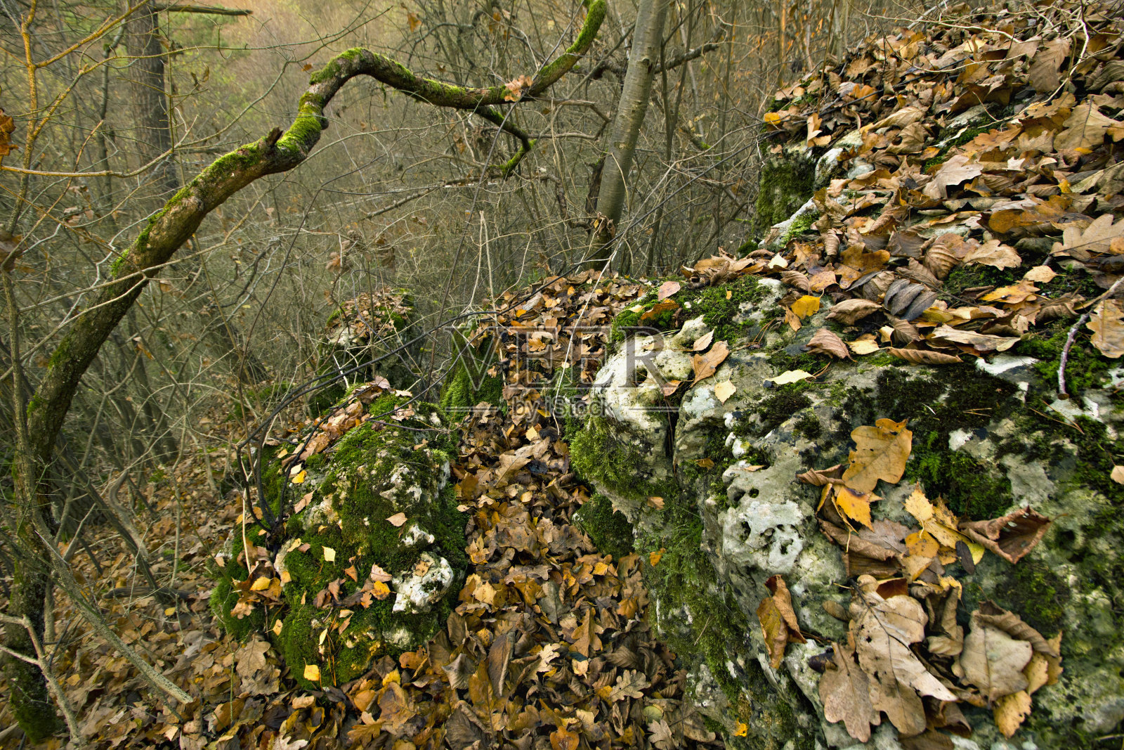 从悬崖顶上看到的景象照片摄影图片