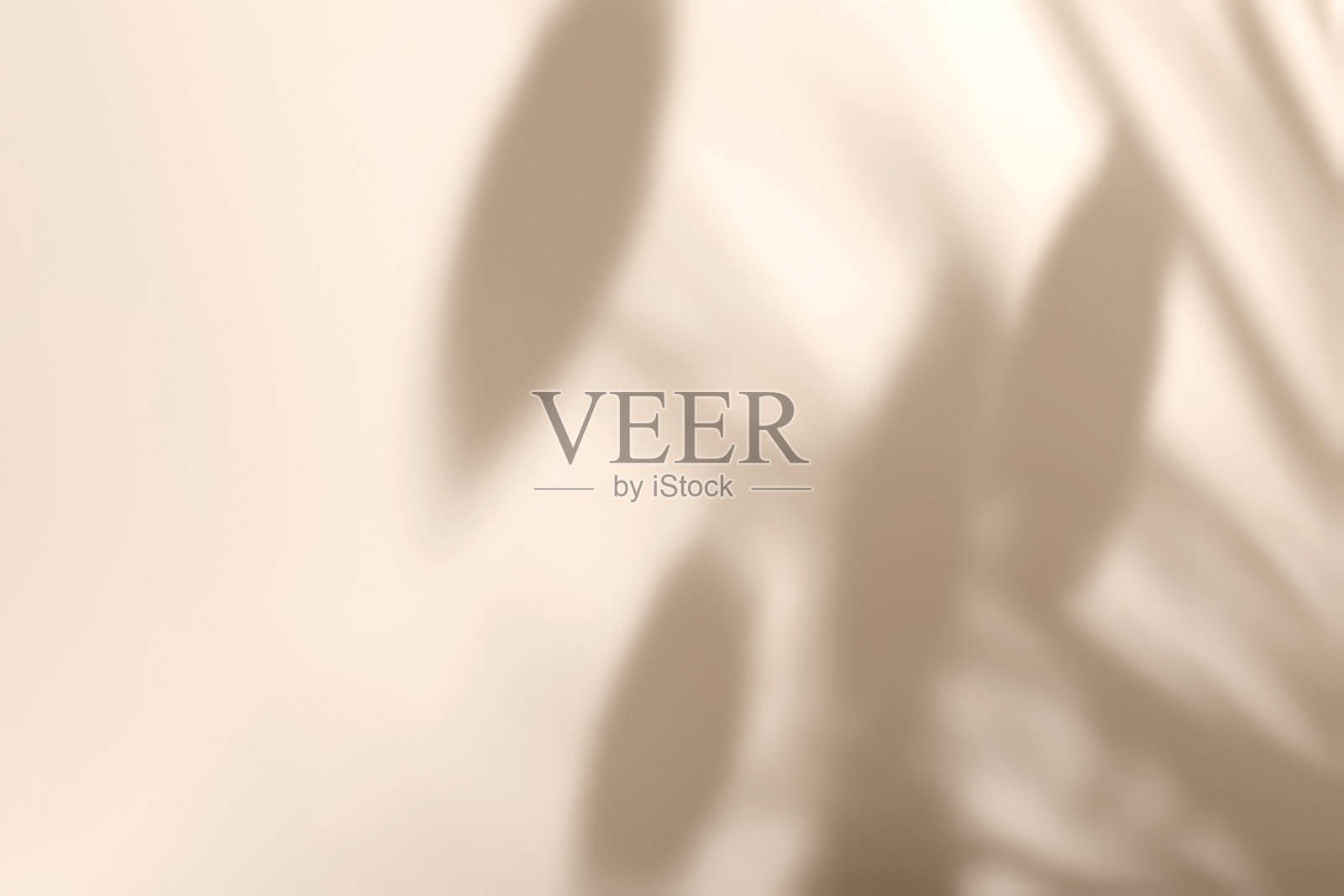 在米色背景和阴影上的圆形讲台场景照片摄影图片