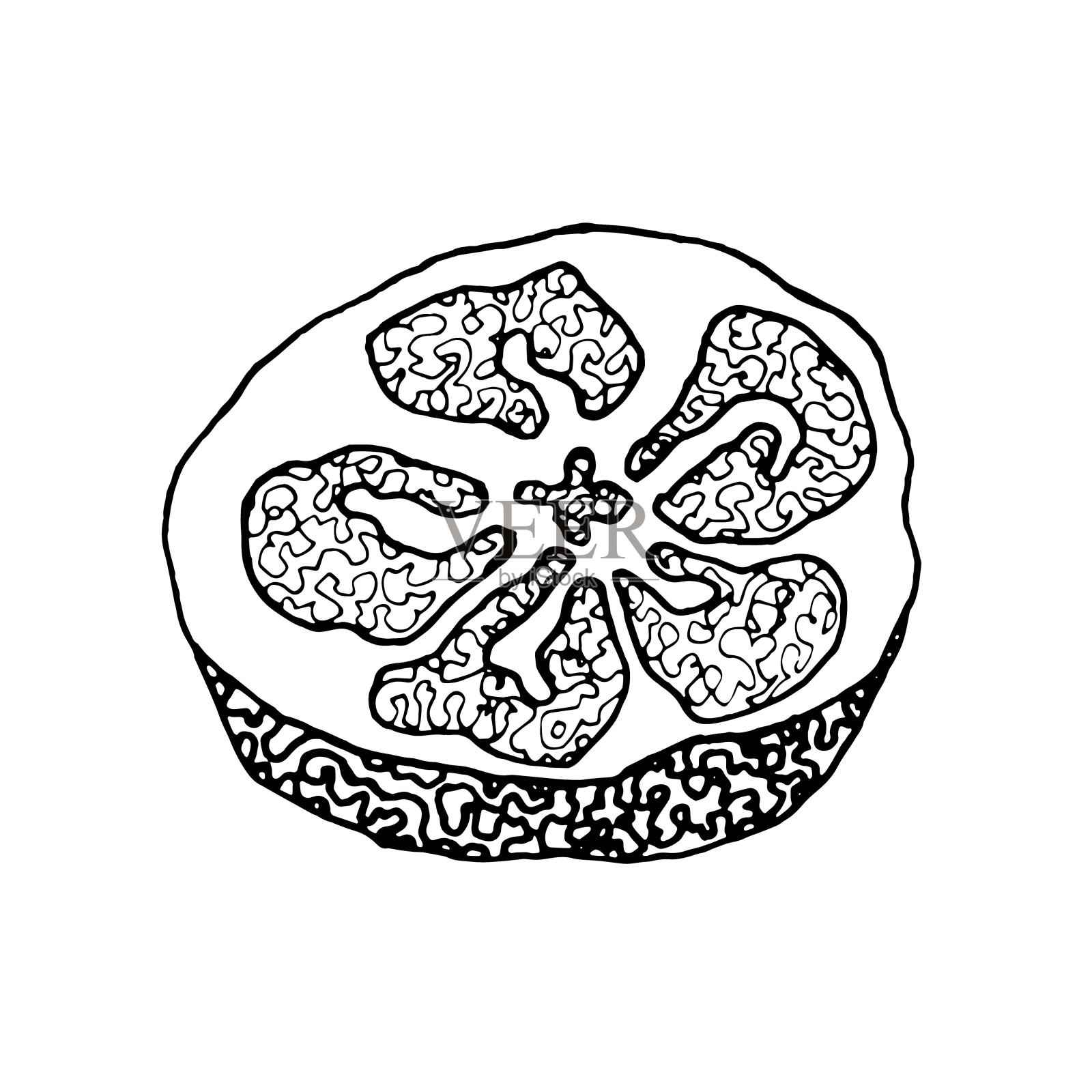 沐浴用丝瓜络。环保产品的概念。可编辑的中风。自然变幅洗涤器线性图标。插画图片素材