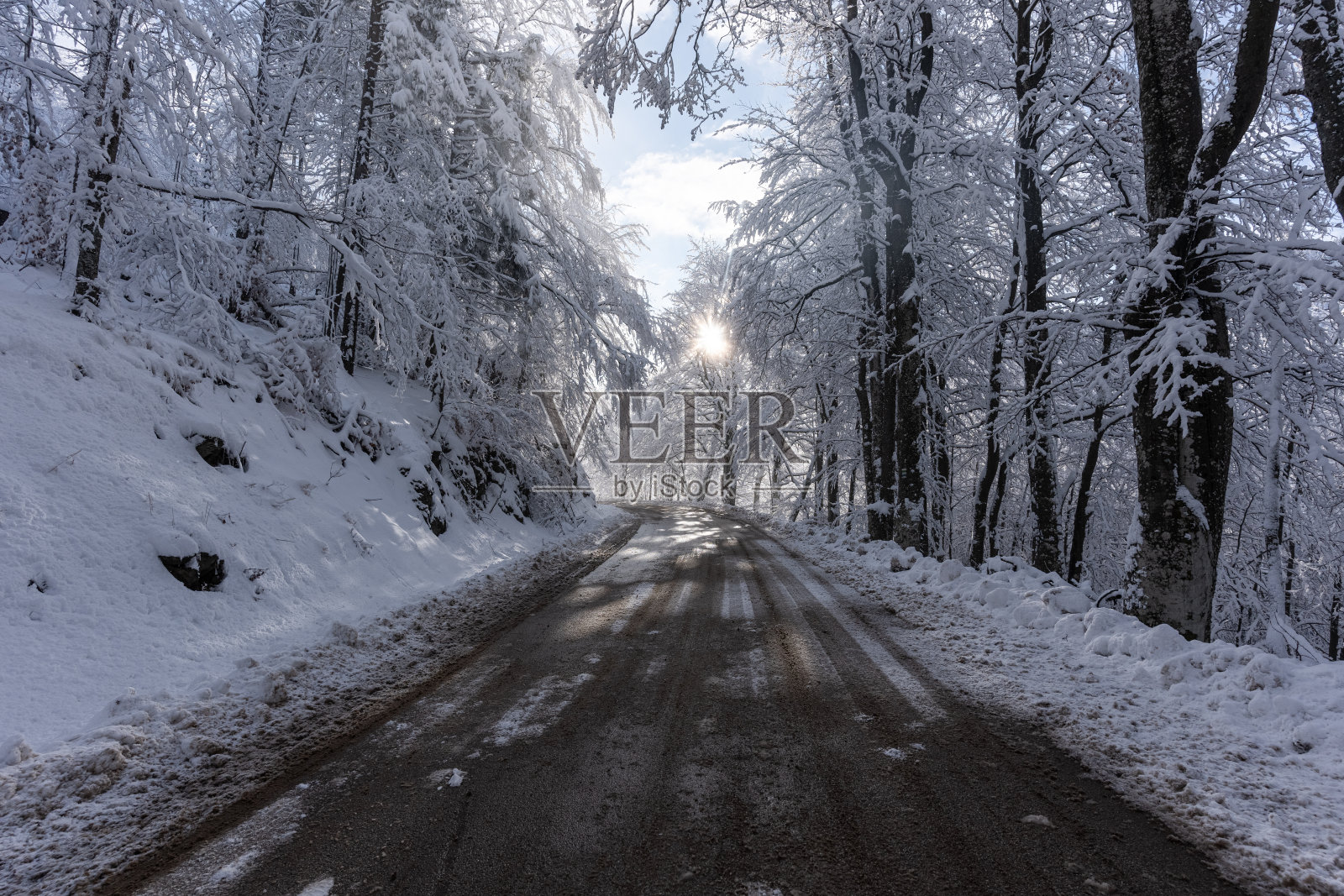树林中的冬季道路照片摄影图片