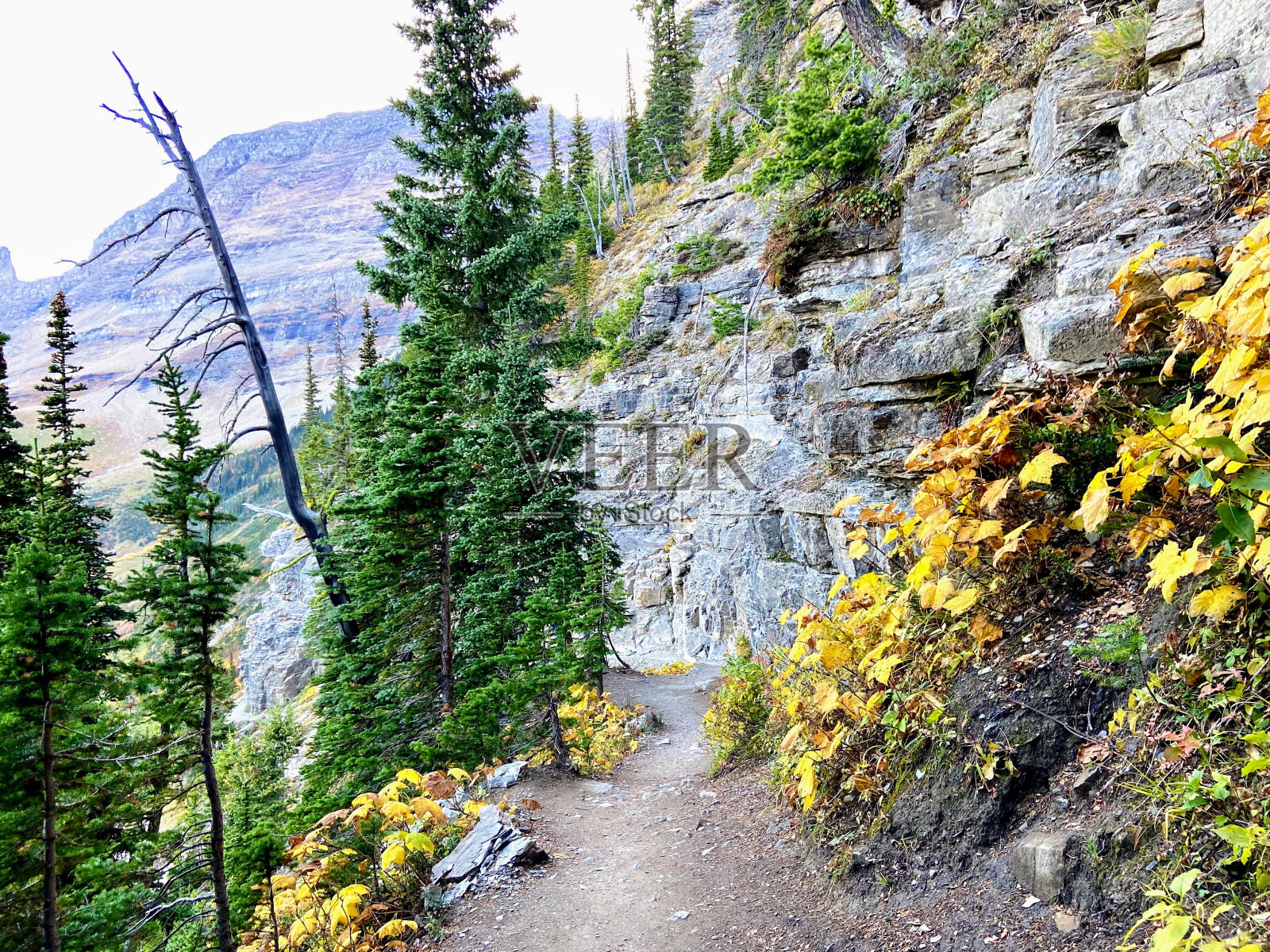 高原步道,冰川国家公园照片摄影图片