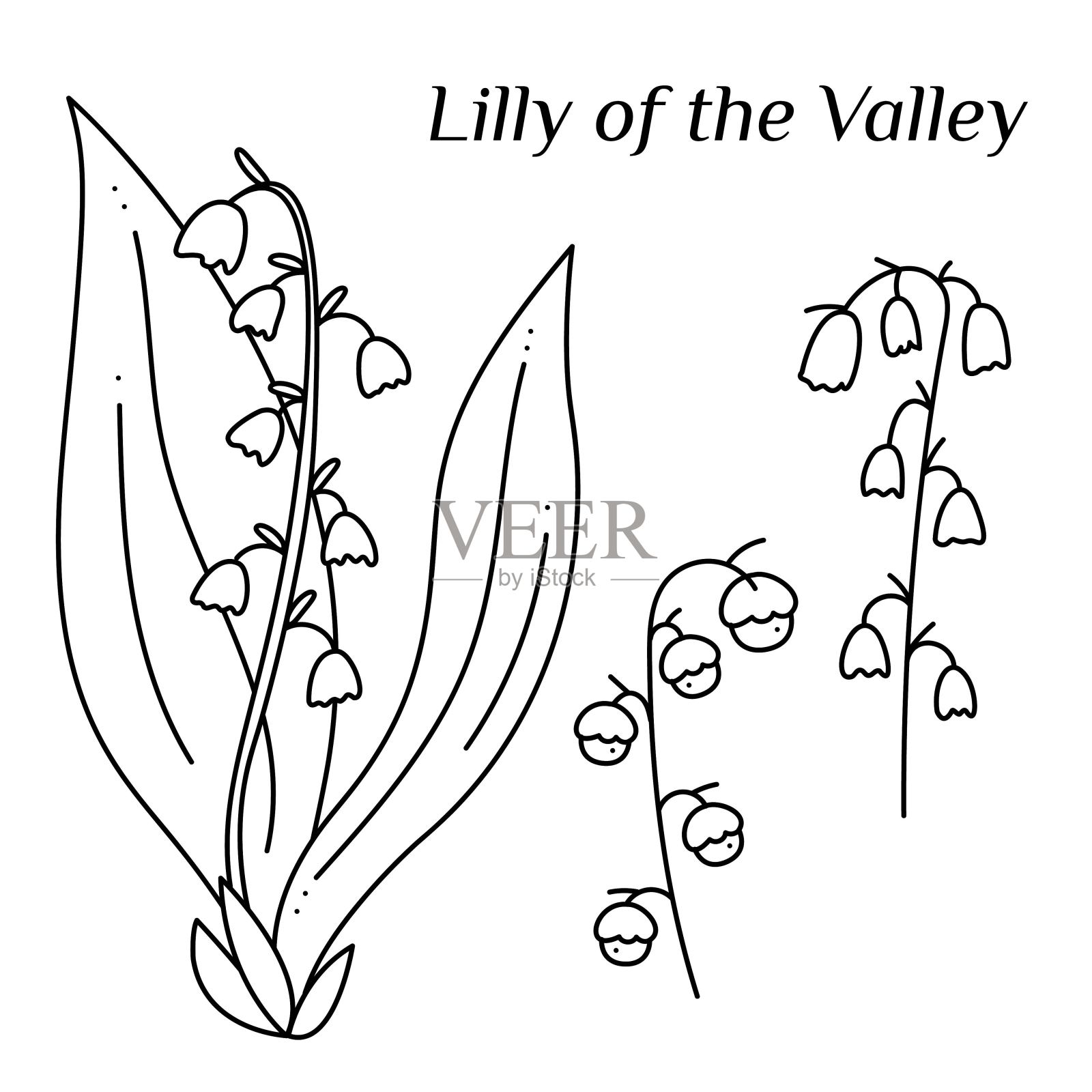 配上铃兰涂鸦。手绘轮廓矢量插图。插画图片素材