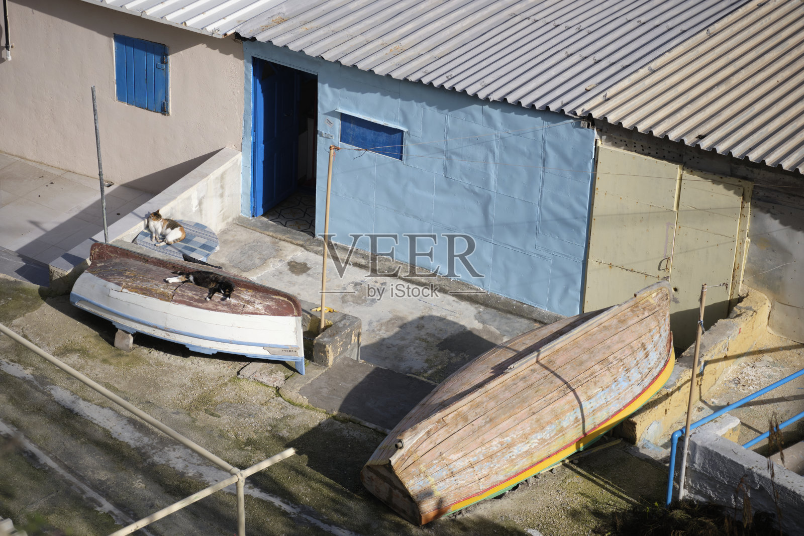 在马耳他的一个渔村,两只猫在小渔船顶上晒太阳。照片摄影图片