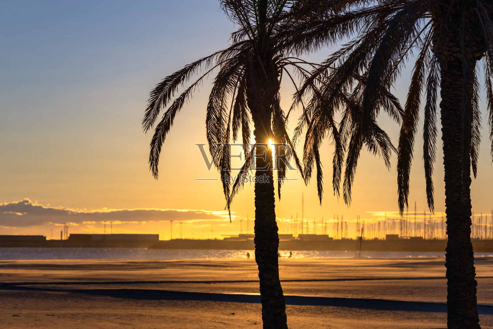 巴伦西亚,日出时普拉亚德拉斯阿里纳斯海滩上的棕榈树。西班牙照片摄影图片