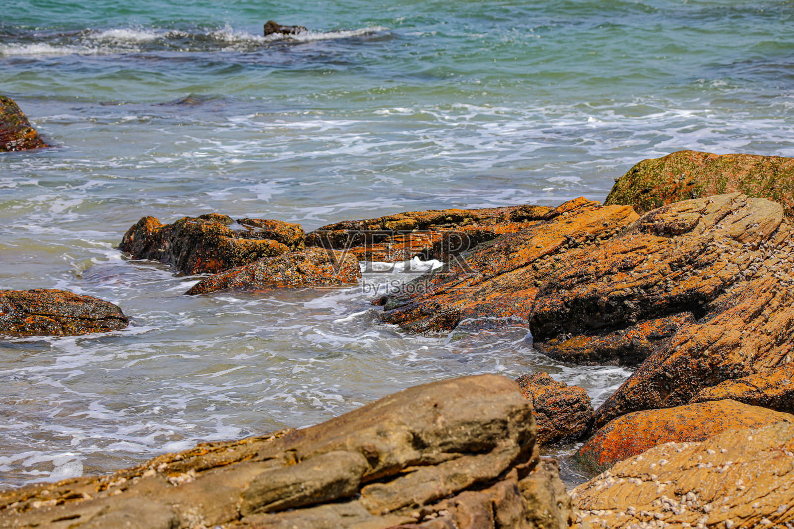 被遗忘的海滩照片摄影图片