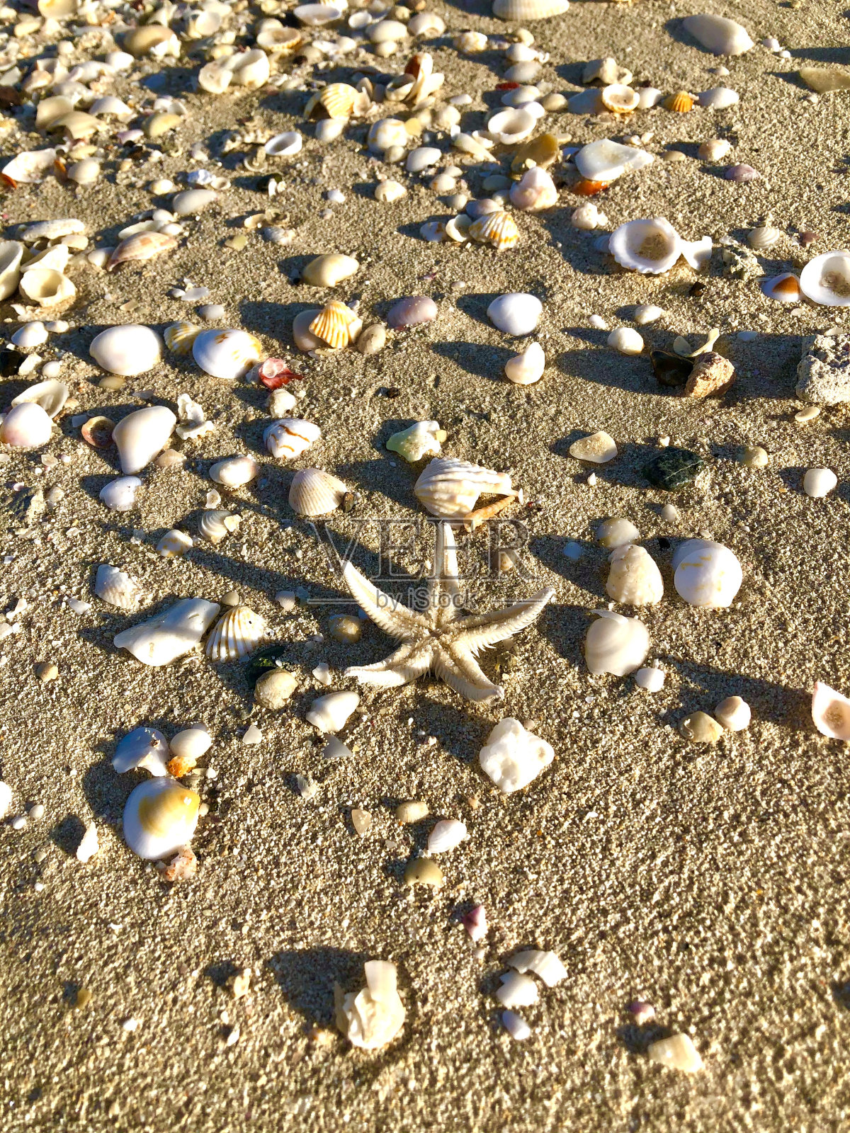 迪拜海滩风光照片摄影图片