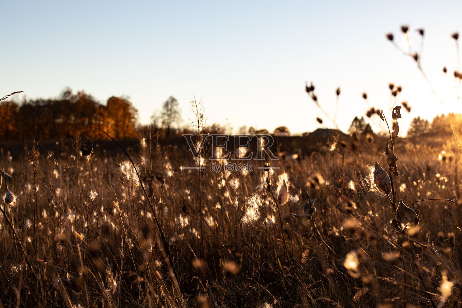 门县的秋天照片摄影图片