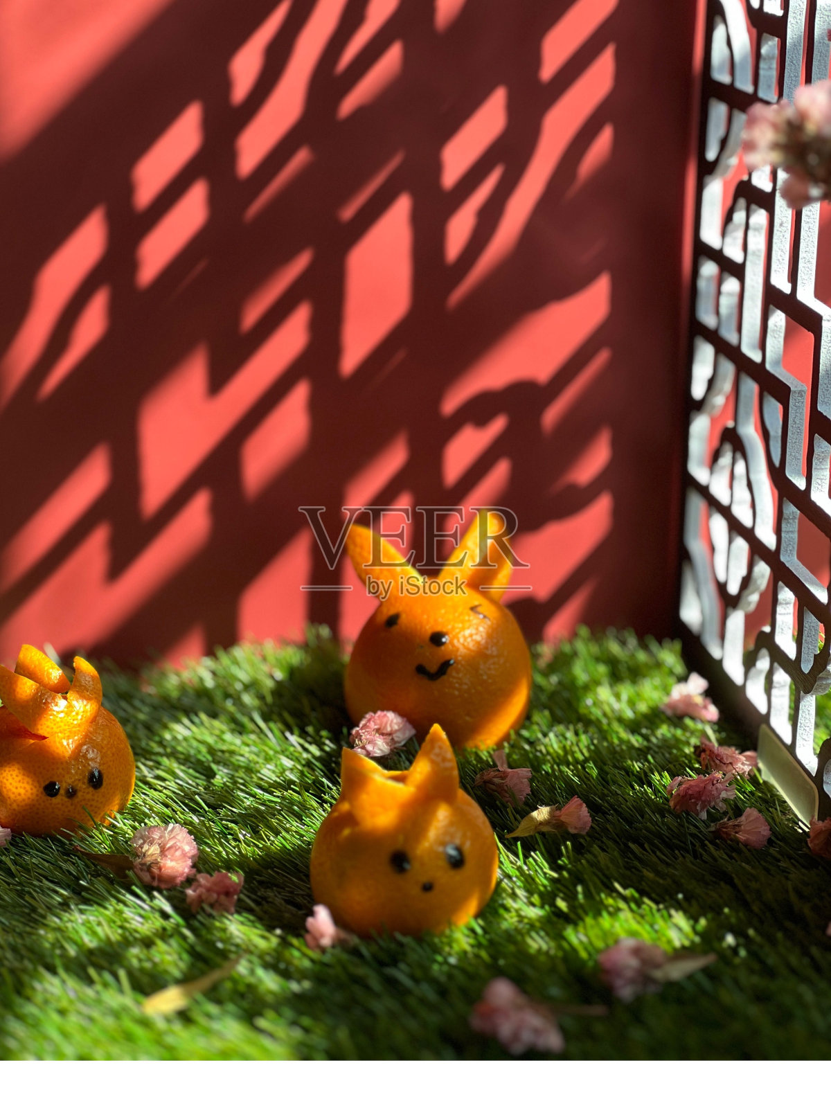 动物的脸是用水果做成的装饰品照片摄影图片