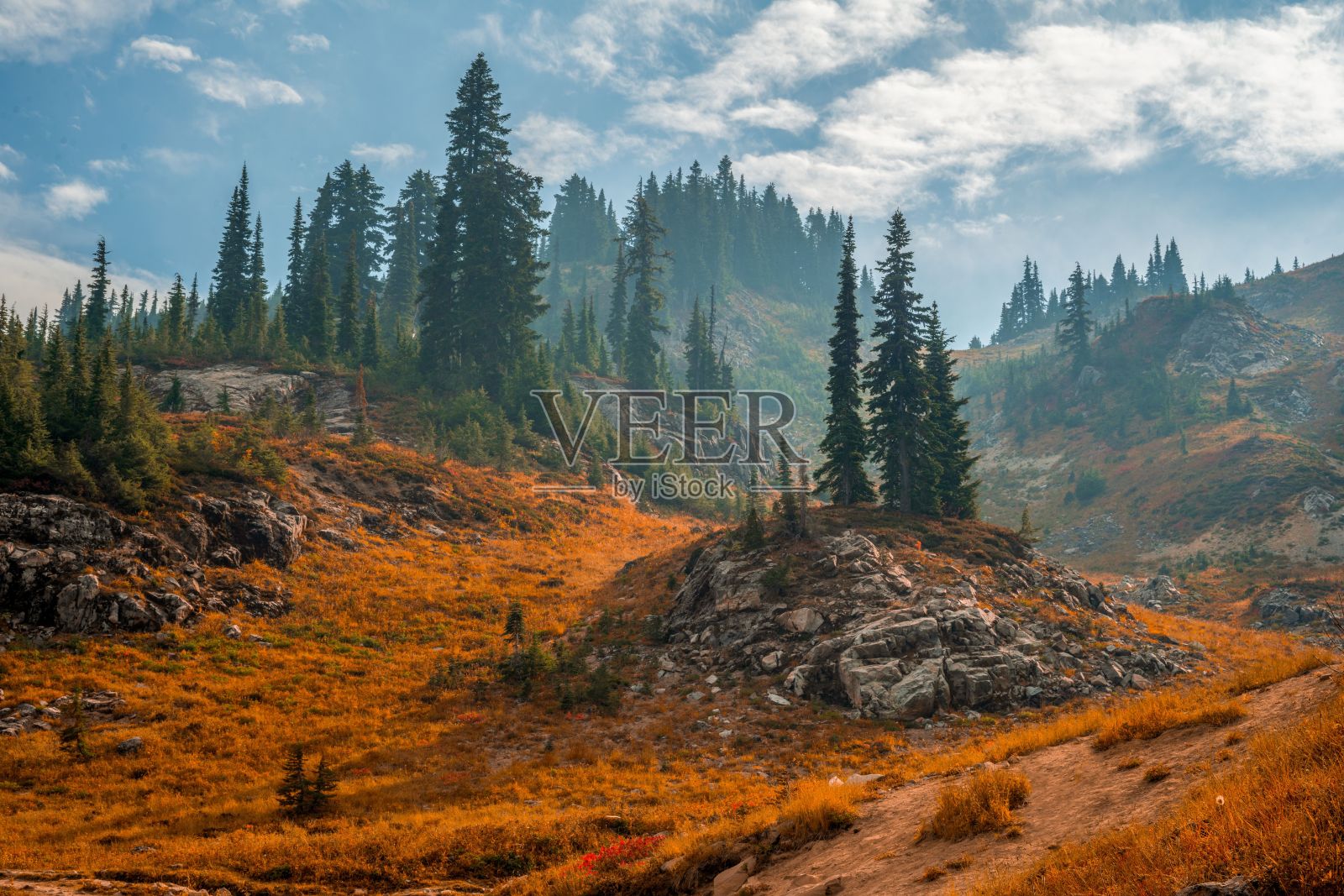 秋天雾中有树的山照片摄影图片