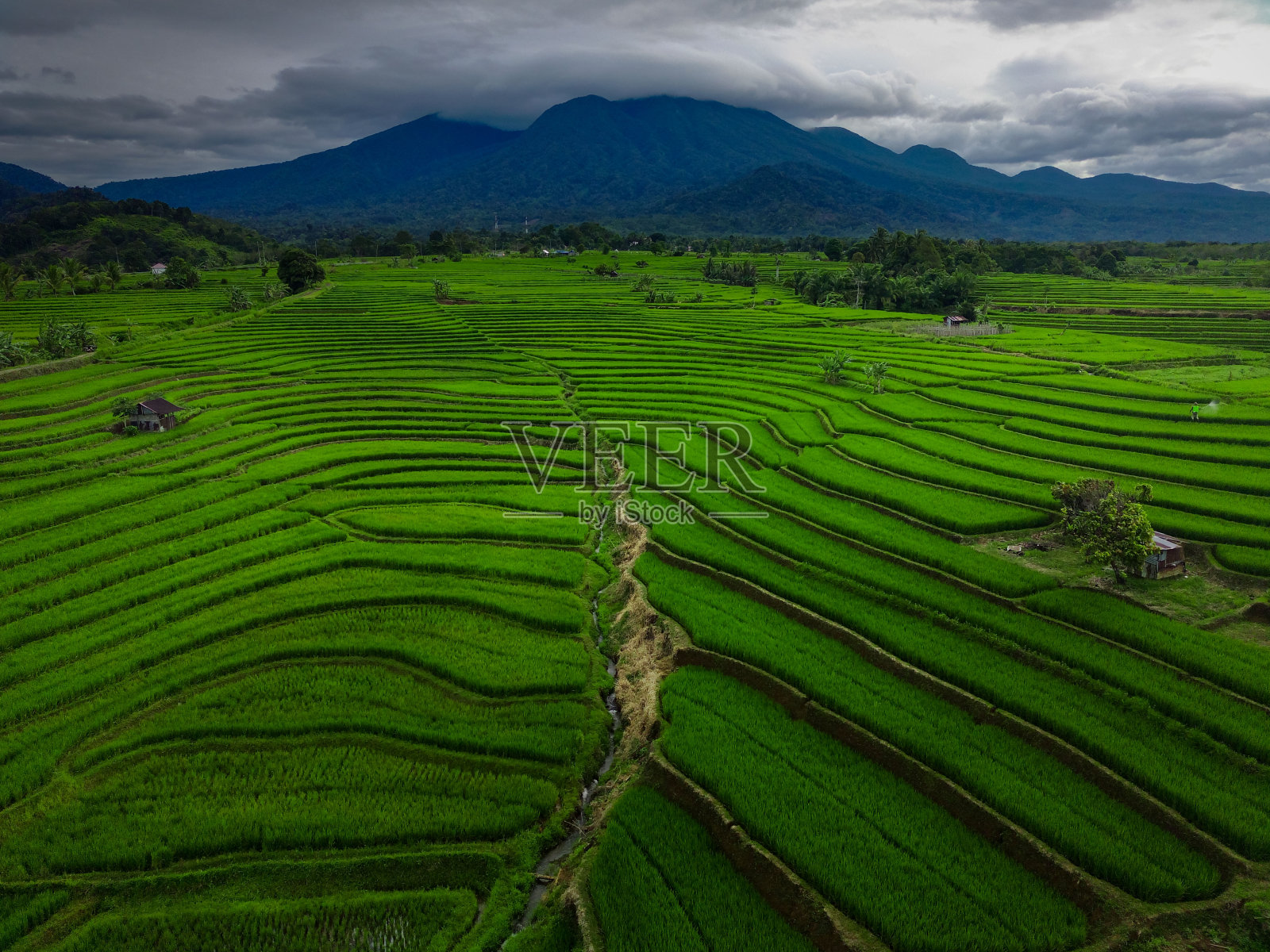 美丽的早晨看印度尼西亚全景风景稻田与美丽的颜色和天空自然光照片摄影图片