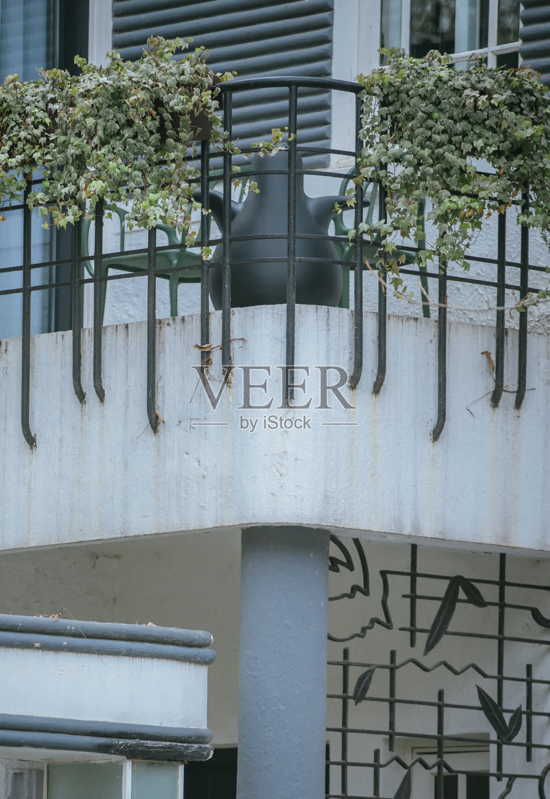 房子阳台上美丽的植物照片摄影图片