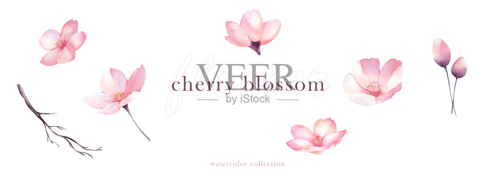 集水彩樱花矢量元素设计插画图片素材