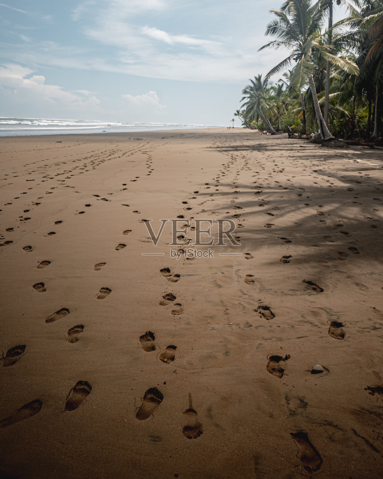 哥斯达黎加乌维塔海滩的美丽照片照片摄影图片