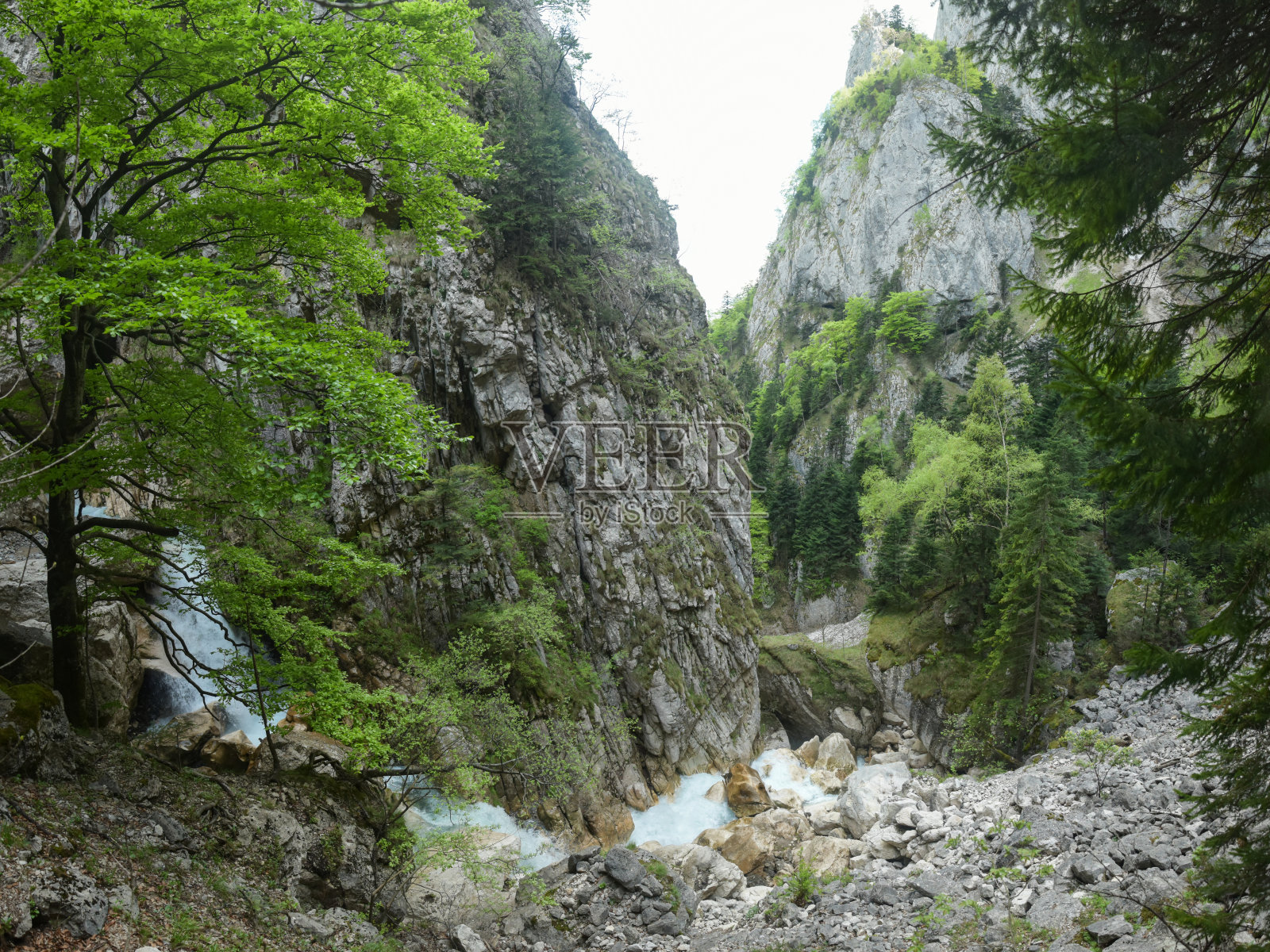 完整的峡谷照片摄影图片