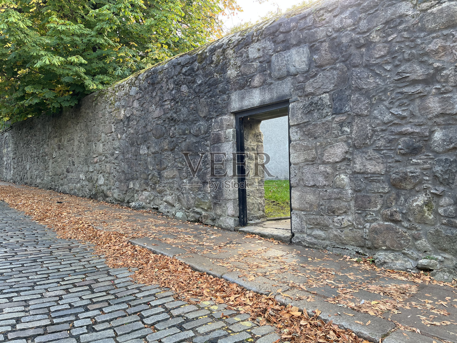 香港仔号照片摄影图片