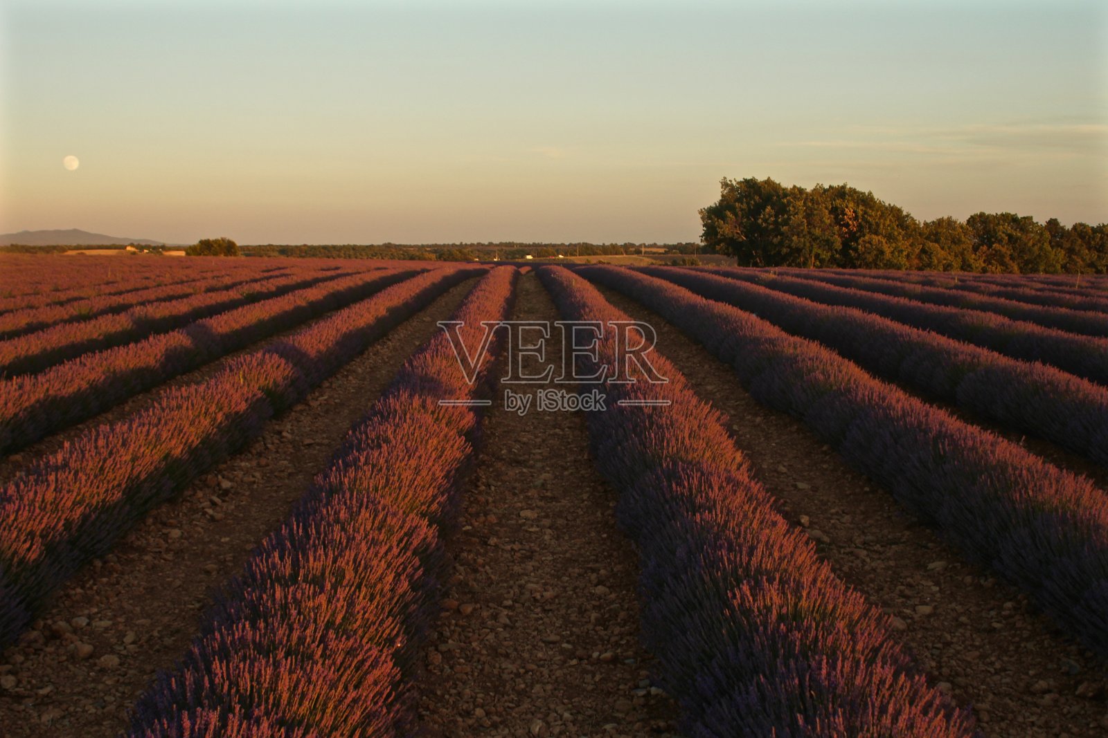 普罗旺斯照片摄影图片