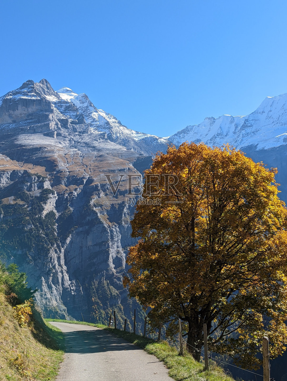 瑞士美丽的山地景观照片摄影图片