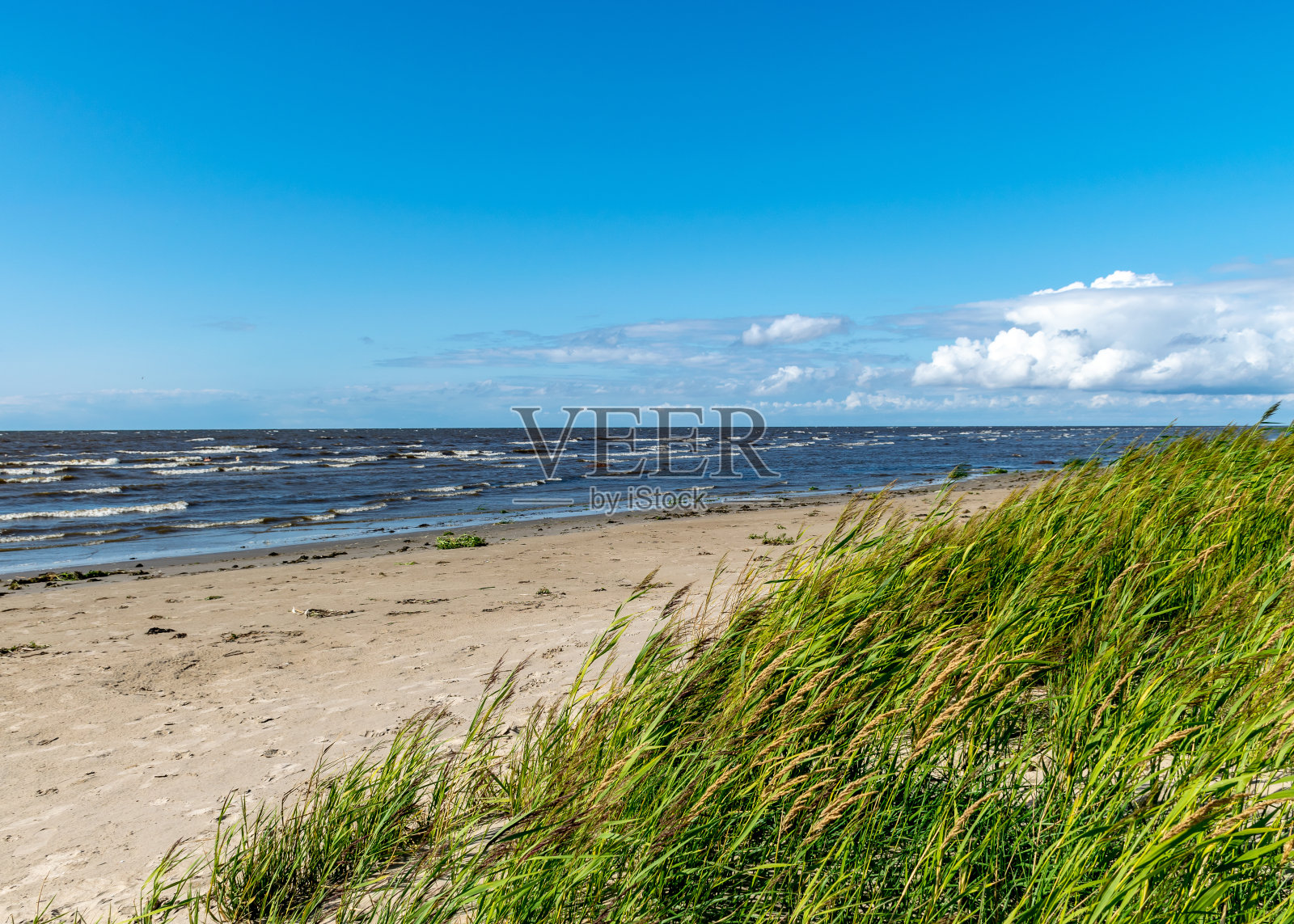 爱沙尼亚的海滨景观,浅海水中的海草和岩石,卡布里鸟类中心,帕尔努湾,爱沙尼亚照片摄影图片