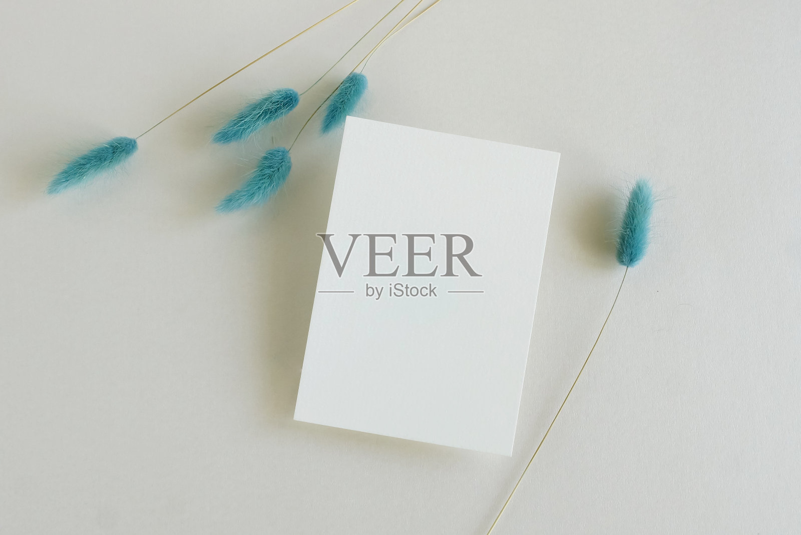 贺卡模型和干燥的蓝色草树枝在米色背景顶部视图平铺。卡片模型与复制空间。照片摄影图片