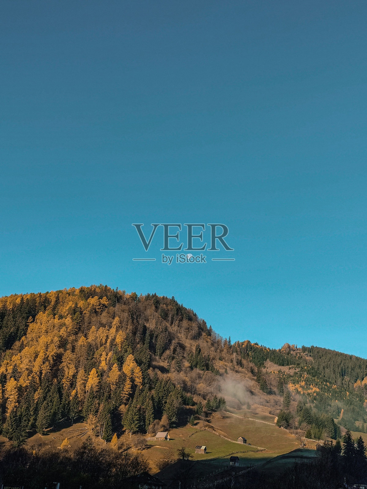 树木茂密的森林鸟瞰图照片摄影图片