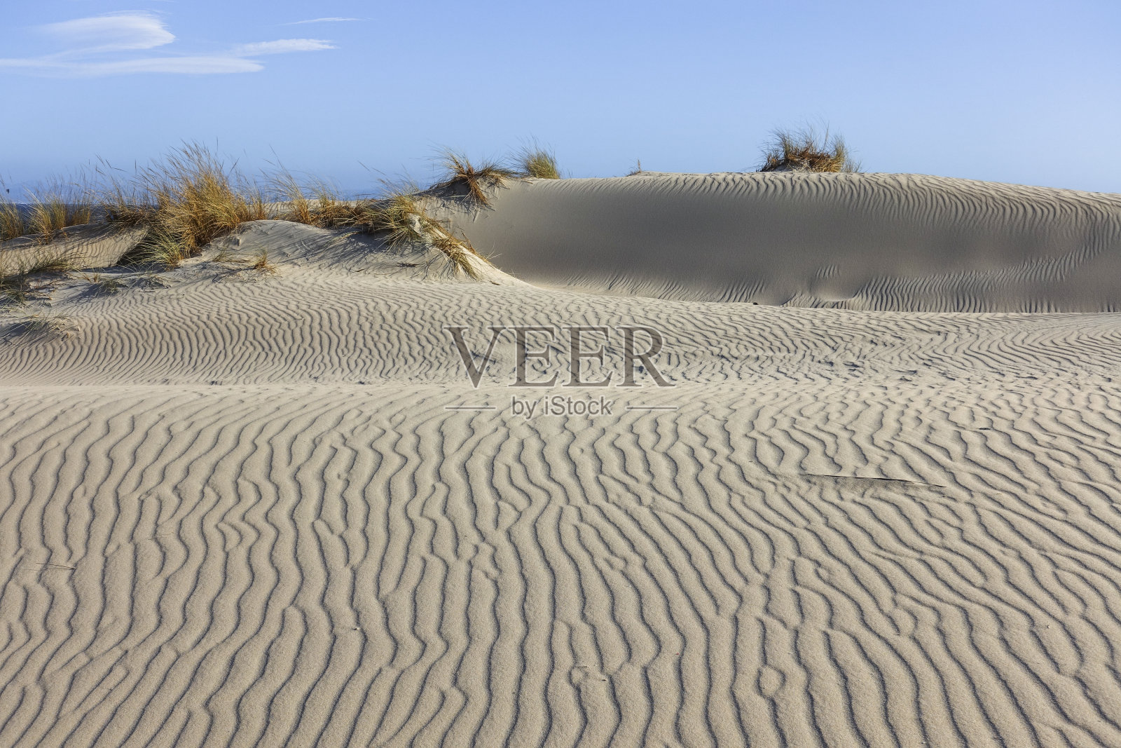 蓬塔帕洛马的沙丘,瓦尔代瓦奎罗斯,加的斯,安达卢西亚,西班牙照片摄影图片