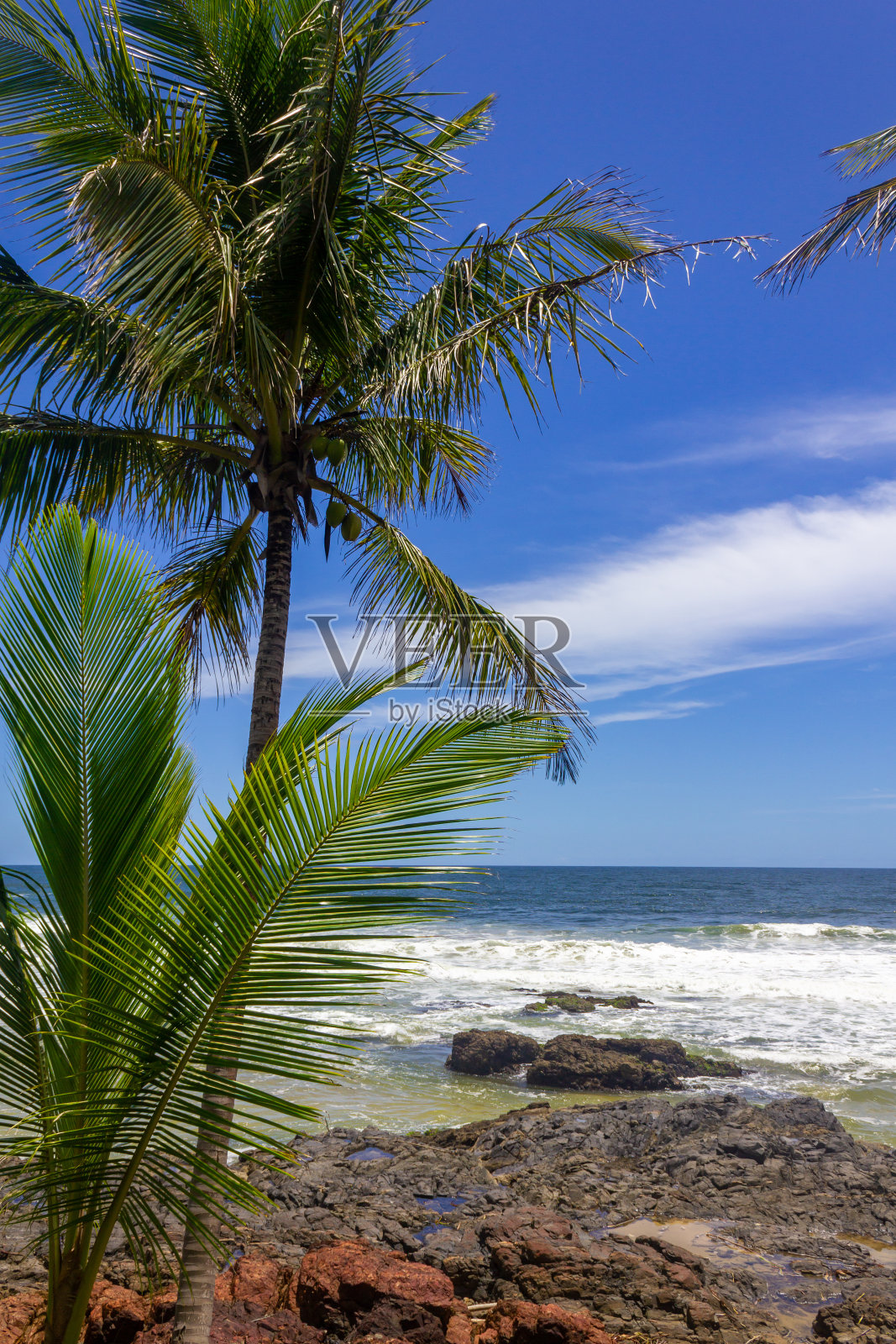 Havaizinho海滩的岩石和森林照片摄影图片