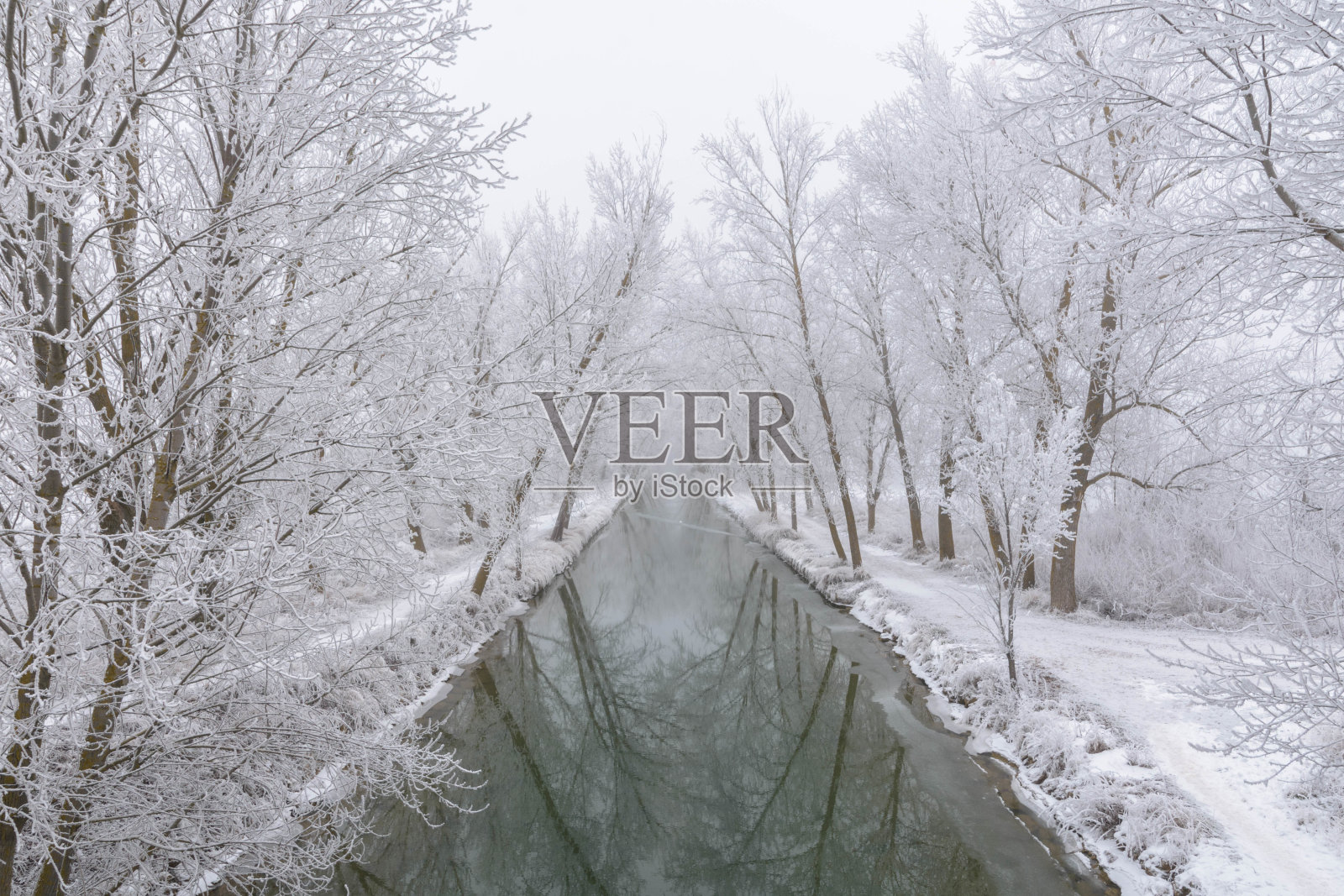 卡斯蒂利亚运河冬天有很强的霜冻。巴利亚多利德,卡斯蒂利亚和莱昂,西班牙照片摄影图片