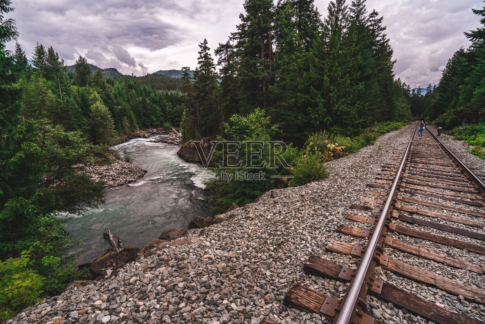 铁路轨道沿着河流穿过茂密的森林照片摄影图片