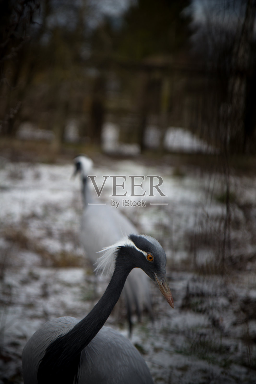 小型起重机照片摄影图片