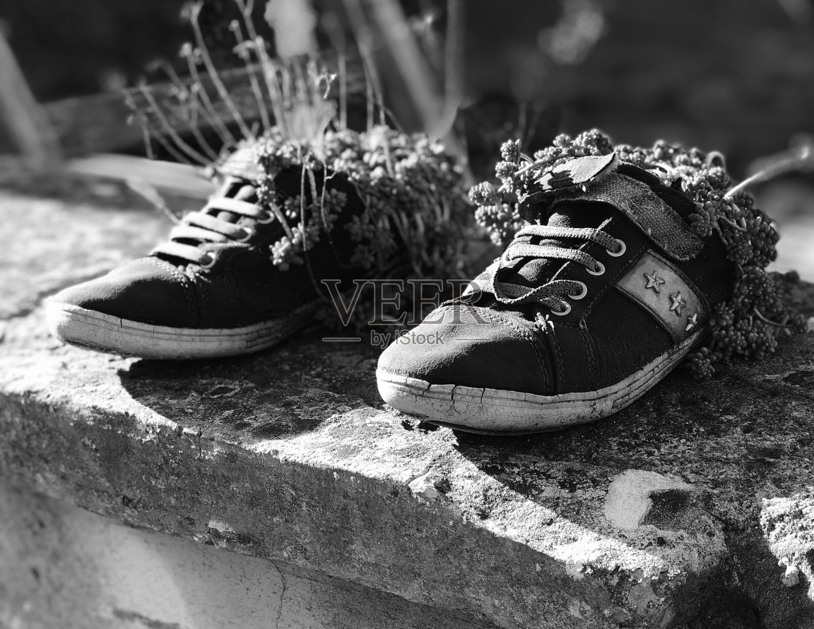 带有装饰的运动鞋特写镜头:产品展示构图照片摄影图片