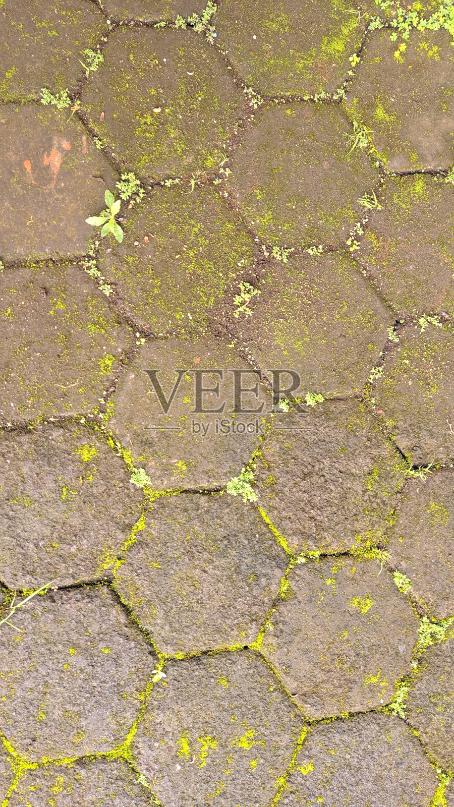 六边形砌块铺装地板照片摄影图片