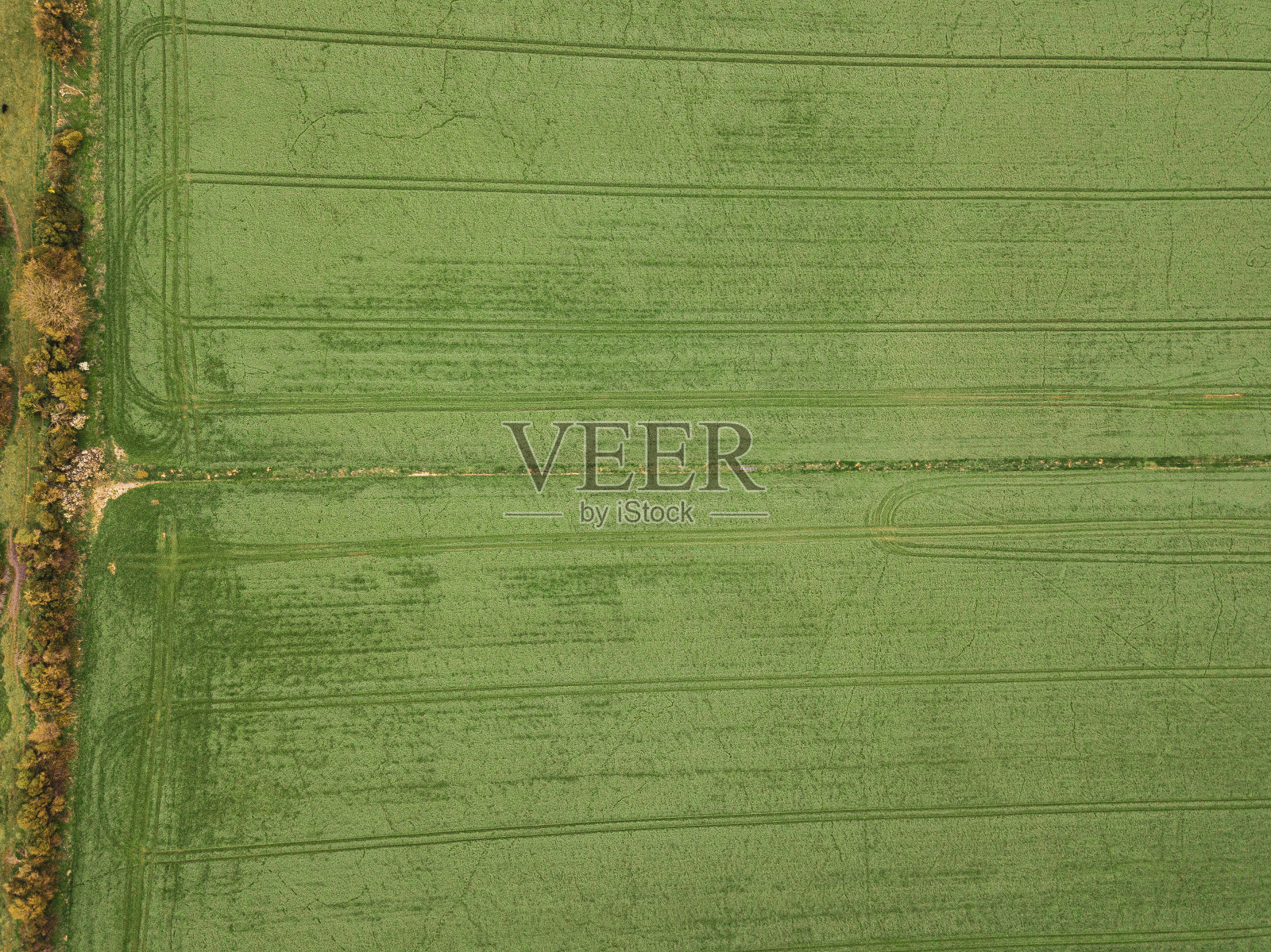 无人机在多赛特郡韦茅斯的厄普韦附近拍摄农田照片摄影图片