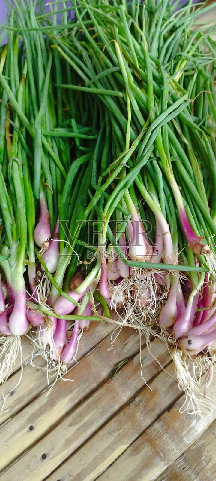 红洋葱照片摄影图片