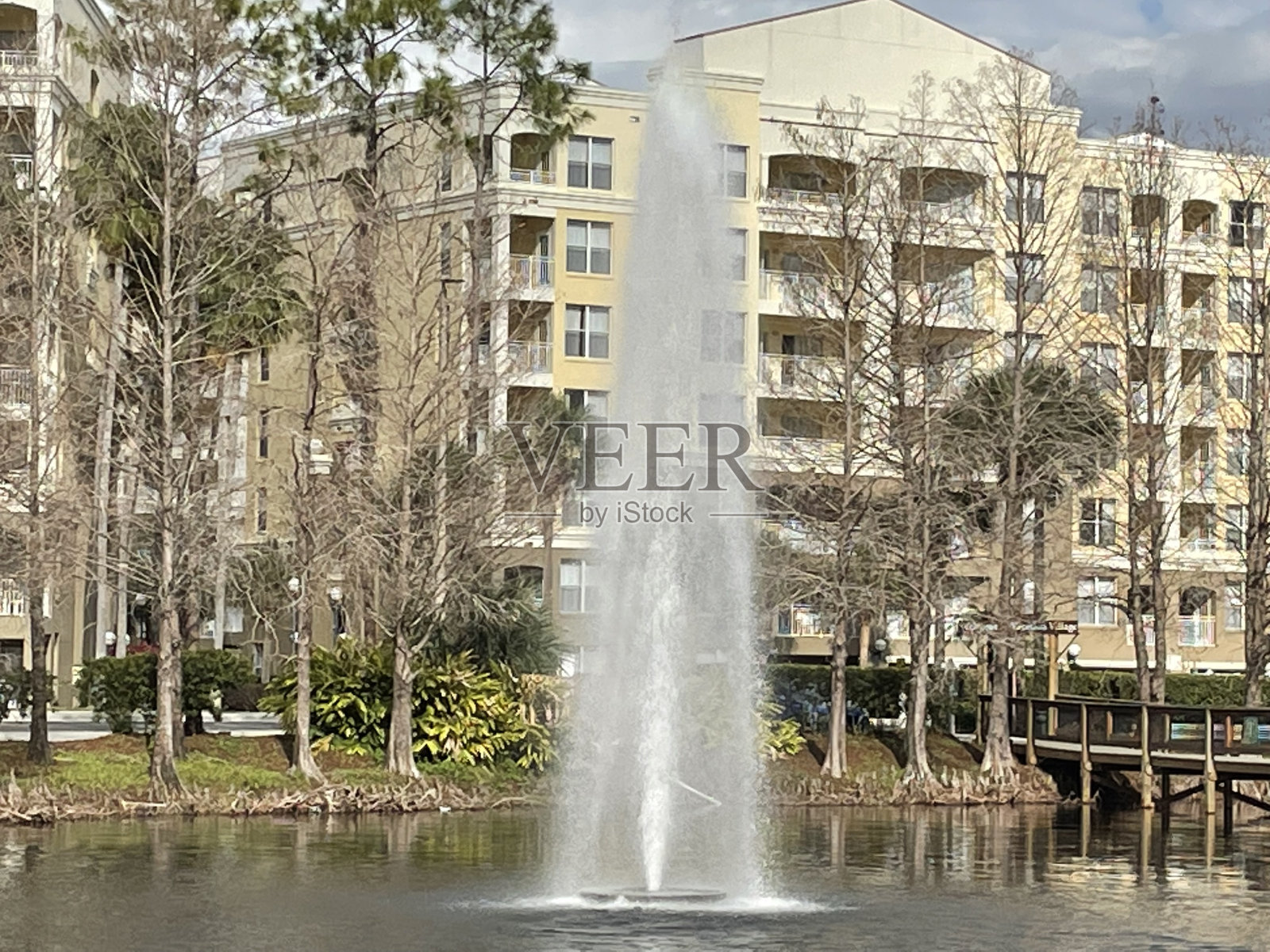 佛罗里达州基西米喷泉照片摄影图片