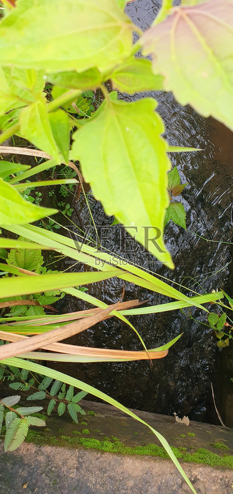 水道照片摄影图片