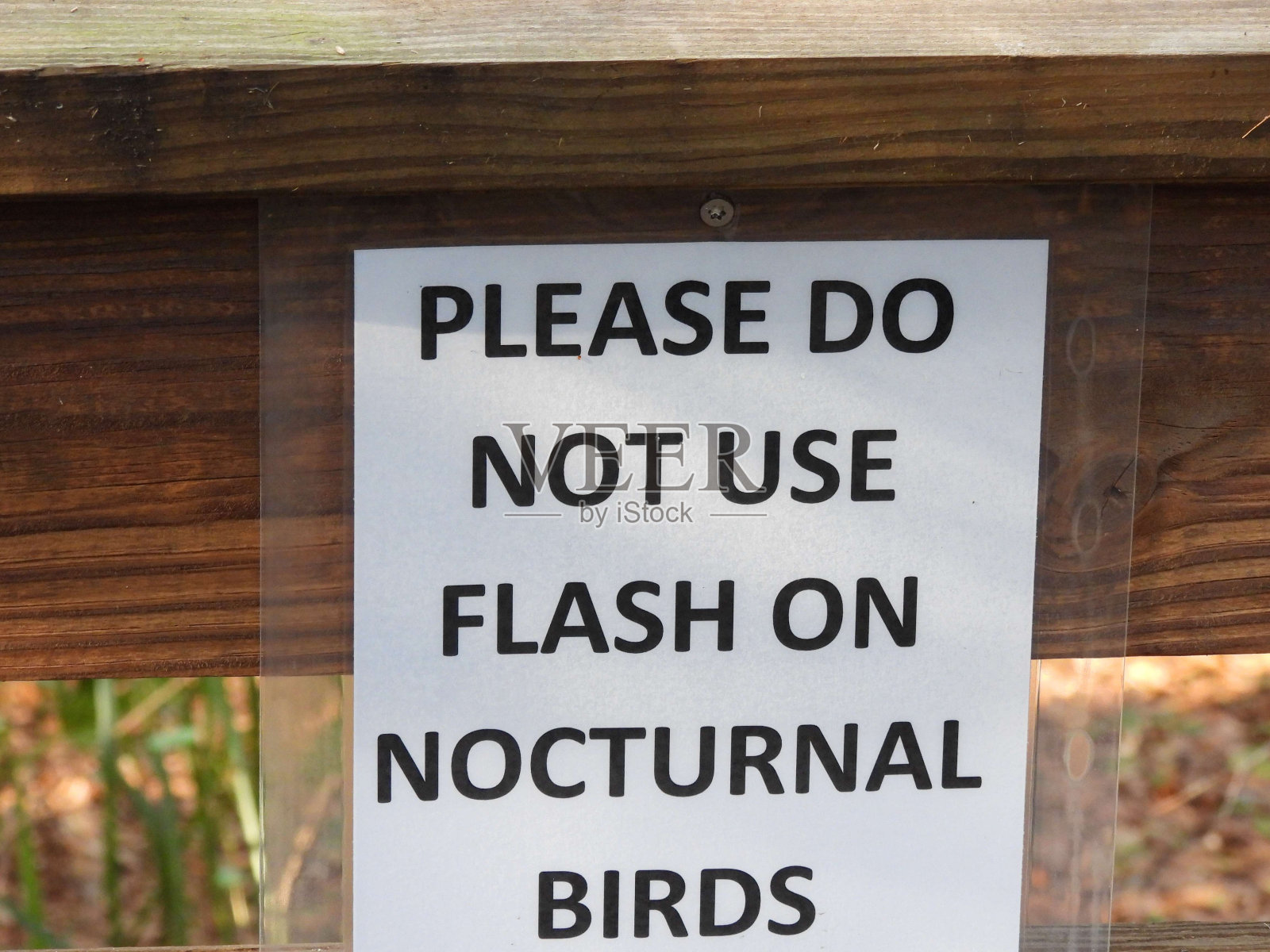 “请勿对夜行鸟类使用闪光灯”警告标志照片摄影图片