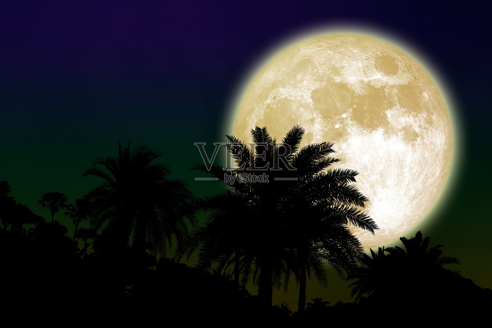 超级花月亮背影棕榈树在夜空照片摄影图片