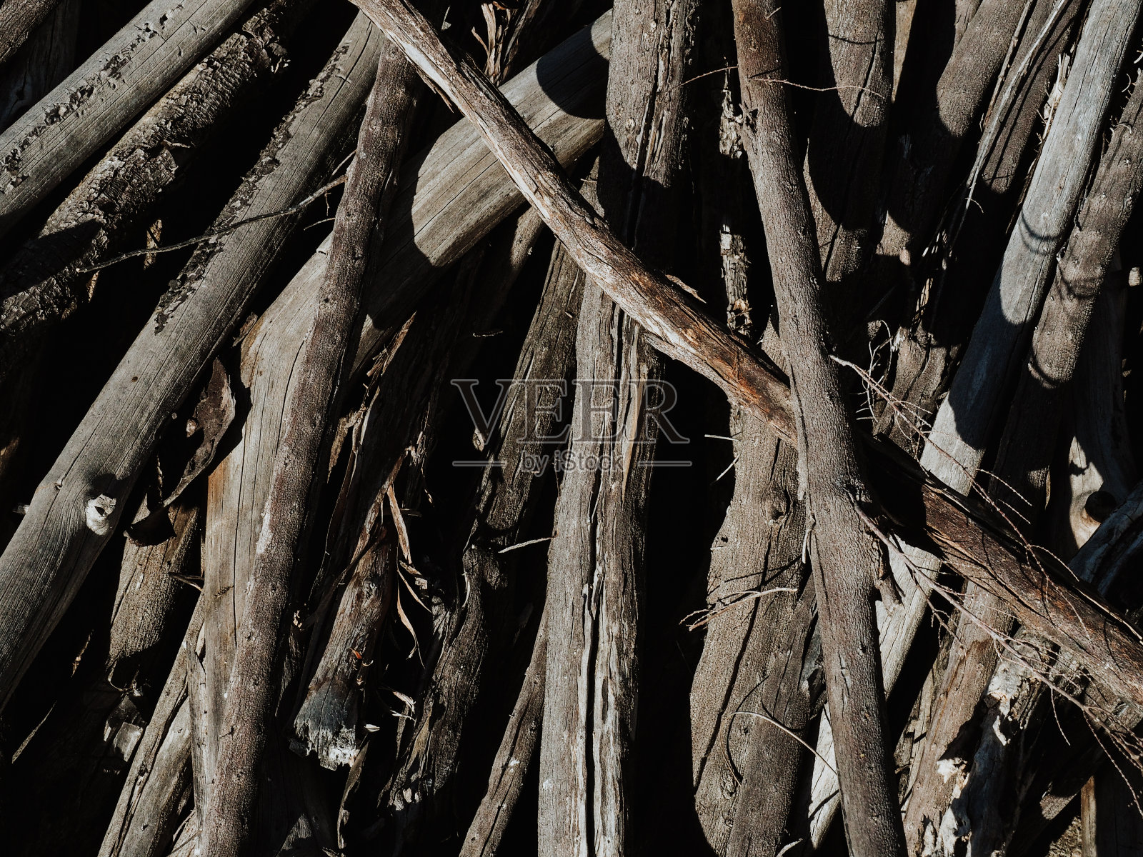 树枝堆照片摄影图片