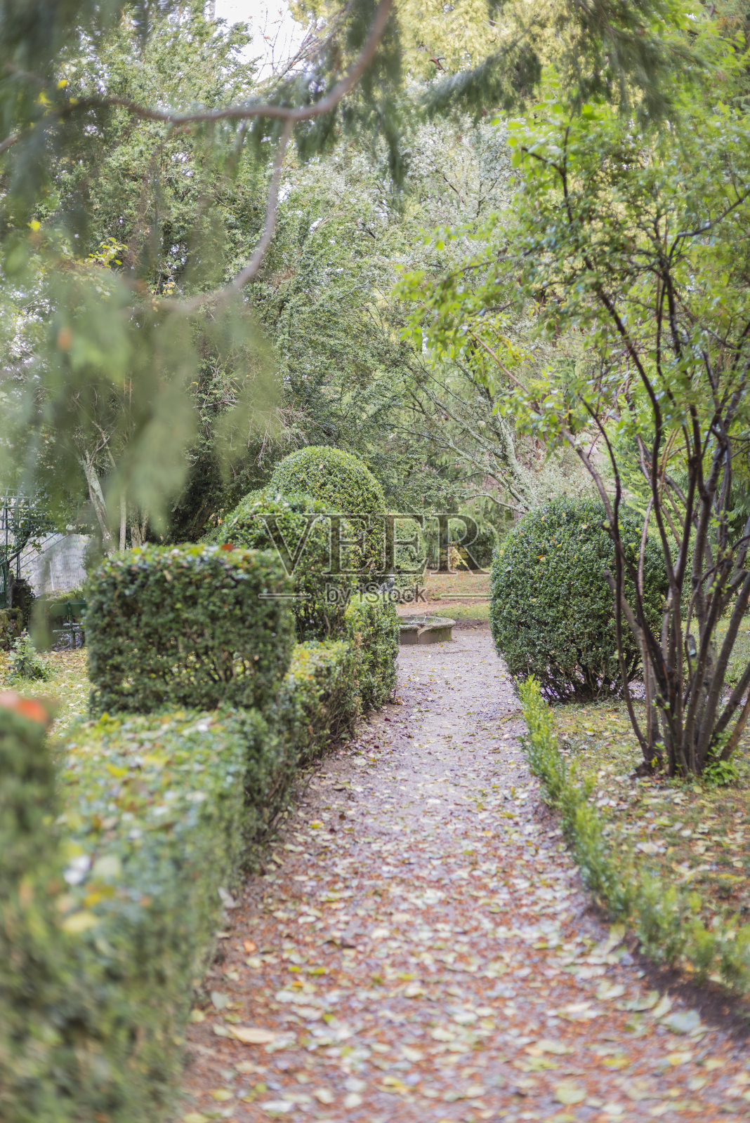 西班牙萨拉曼卡省Bejar的美丽公园照片摄影图片