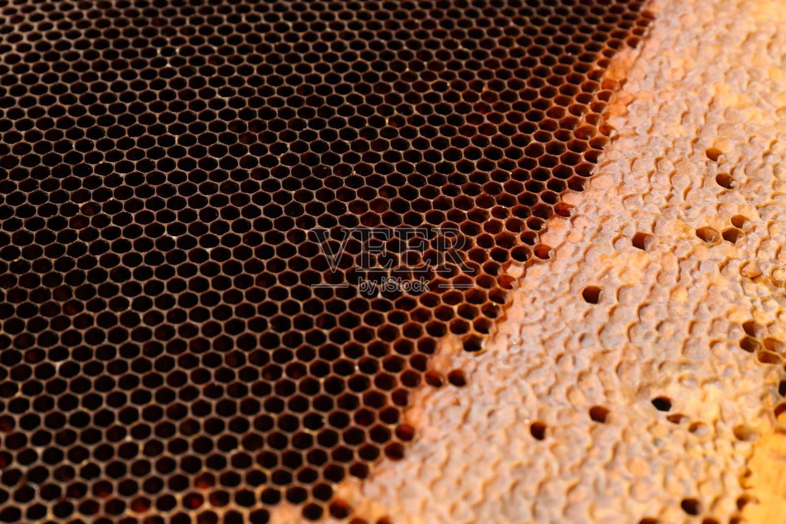 纹理空蜂巢为背景,特写视图照片摄影图片