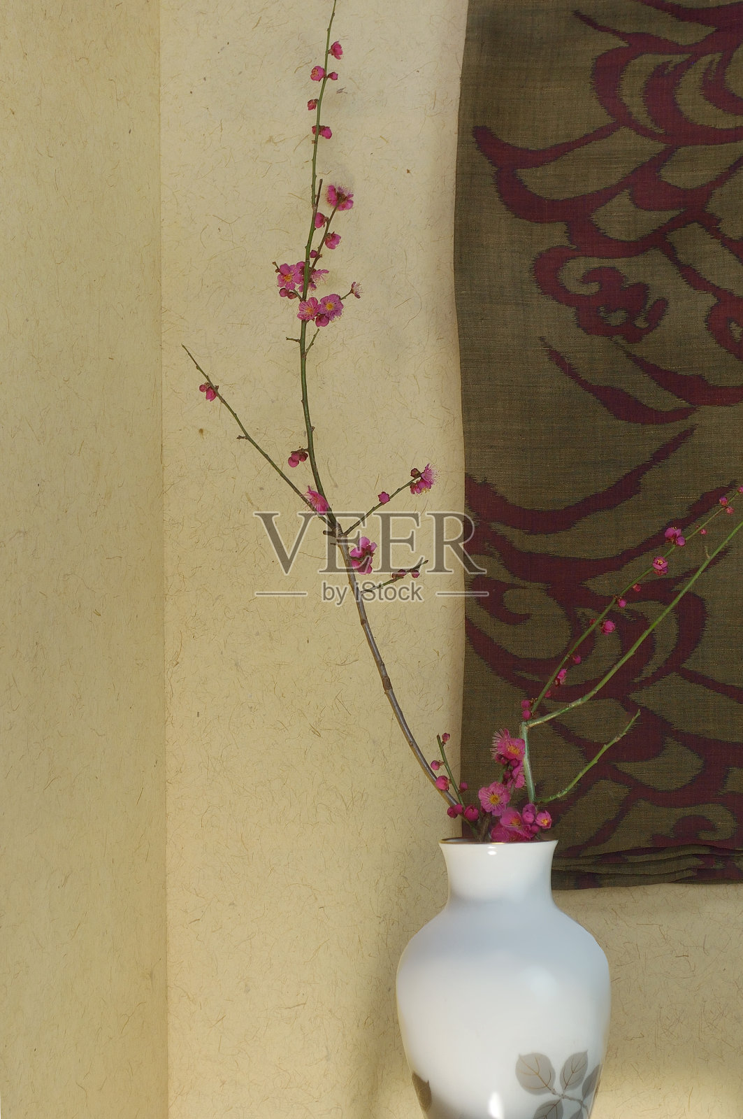 花瓶里的红梅照片摄影图片