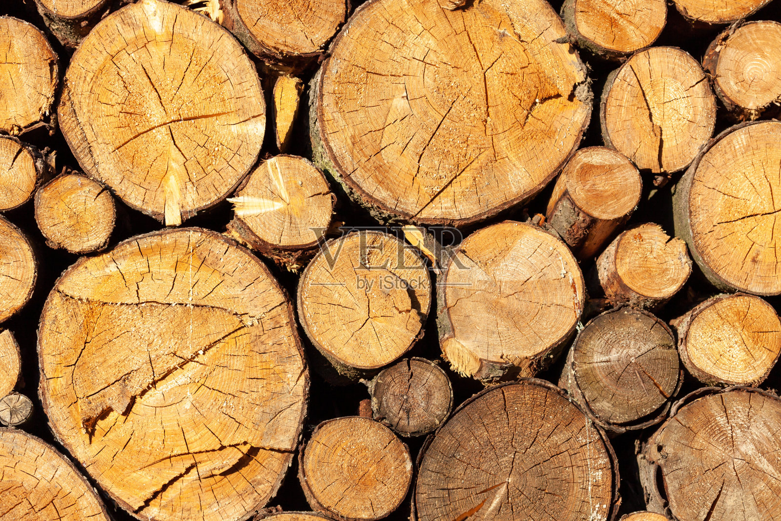 把树锯成碎片照片摄影图片