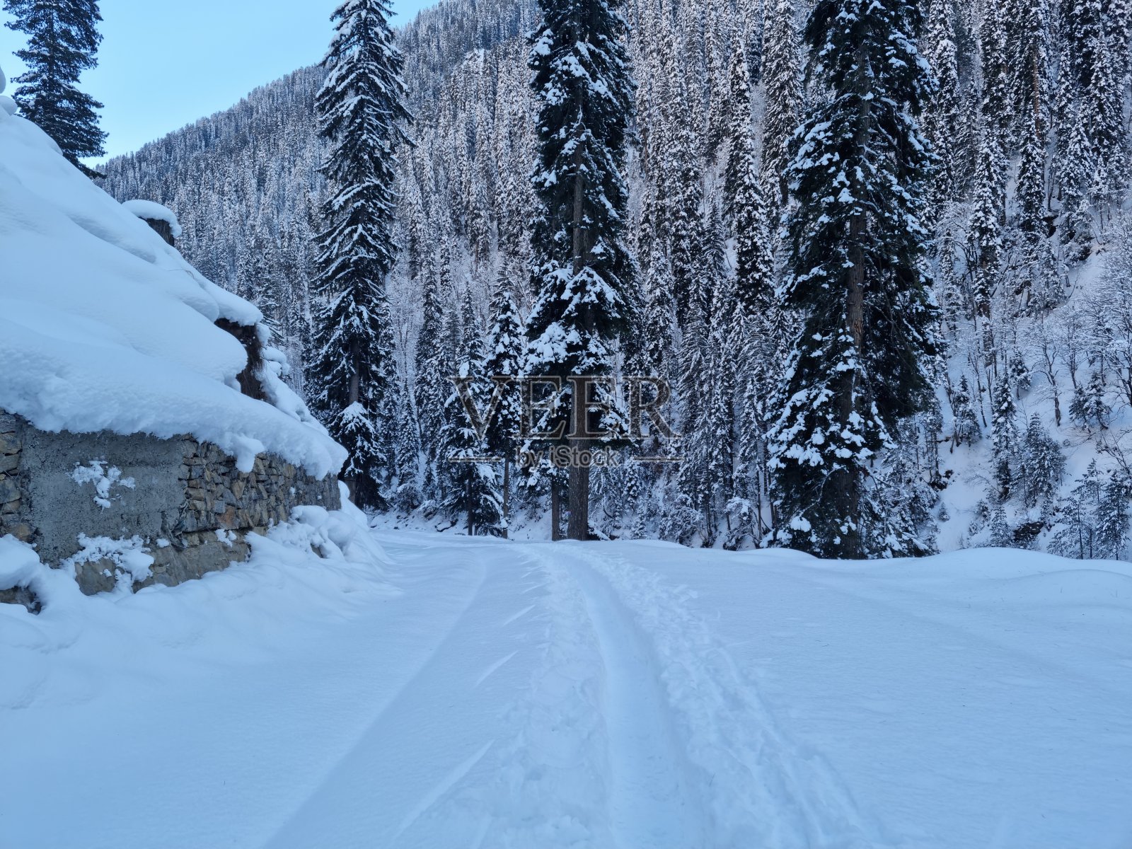 白雪覆盖的森林美丽的冬天下雪照片摄影图片