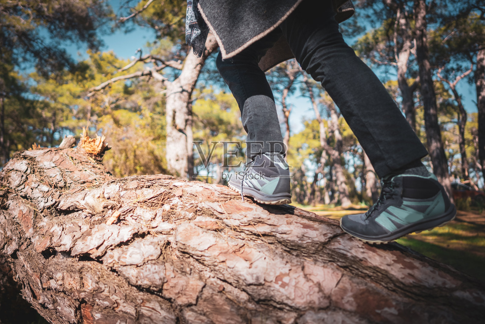 女人的腿走在森林里的一棵树上照片摄影图片