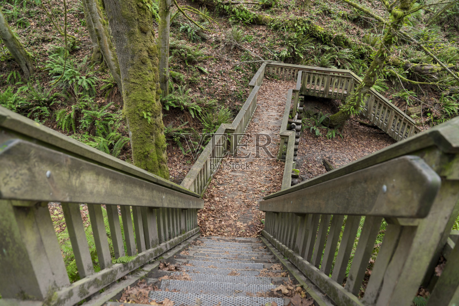 森林里有高角度的窄楼梯和木栏杆照片摄影图片